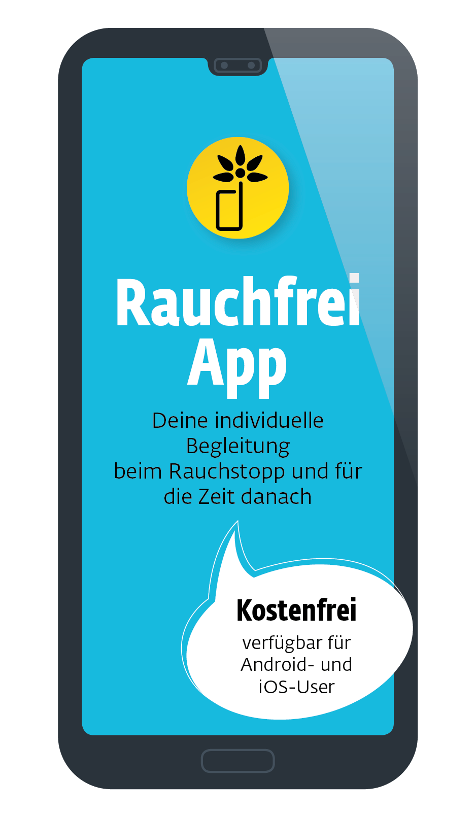 Rauchfrei App Home Screen